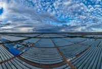 Chinese Spirulina Industry Expands Global Reach, Promoting Health and Nutrition Benefits