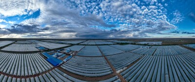 Chinese Spirulina Industry Expands Global Reach, Promoting Health and Nutrition Benefits 1 692127 1 11 jpg