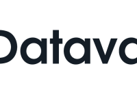 Datavault AI Merilis Tanggapan Resmi atas Laporan Singkat