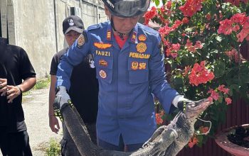 30885789078 img 20251118 wa0010