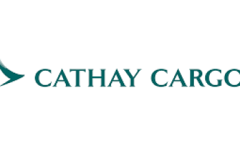 709067 images 41 png 400x0