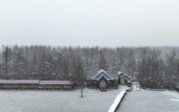 709354 image 1 jpeg 400x0