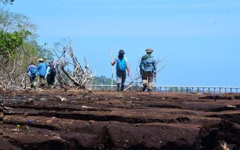 Kawasan Restorasi Mangrove Teluk Pambang Dikunjungi Tim ASEAN-UK GTF 7 47624671202 img 20260211 192357