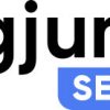Big Jump SEO Solutions Partners with Three Major Insurance and Financial Education Platforms to Promote Public Insurance and Financial Literacy in Hong Kong through SEO and AI Content Strategies