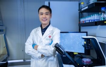 PolyU develops novel antibody targeting fat cell protein, offering new approach to treating metabolism-related liver cancer 23 729226 Photo 1 jpg 400x0
