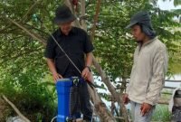 Polri Hadir di Sektor Pertanian, Polsek KSKP Dumai Kawal Pertumbuhan Jagung Menuju Panen Optimal