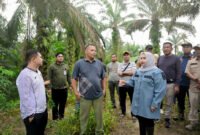 Cegah Karhutla dari Sumbernya, Kasmarni Dorong Pembersihan Lahan dengan Bantuan Alat Berat