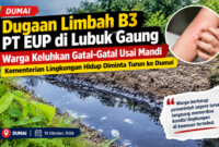 Dugaan Pencemaran di Lubuk Gaung, Warga Keluhkan Gatal-Gatal Usai Mandi dan Minta KLH Turun Tangan